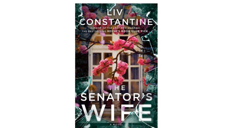 The senator's wife book review