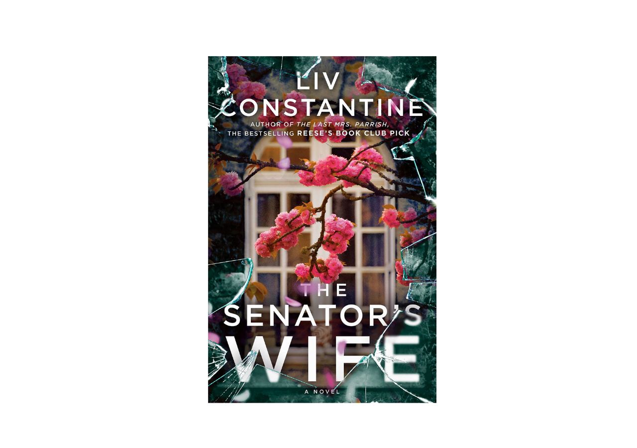 The senator's wife book review